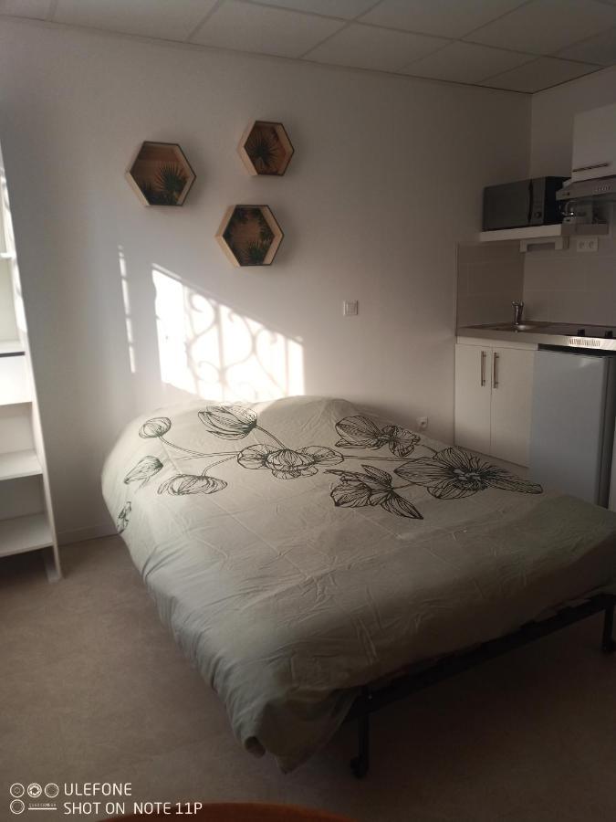 Studio Centre Ville Ажен Екстер'єр фото